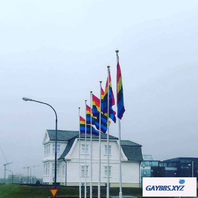 冰岛人用彩虹旗迎接美国副总统 