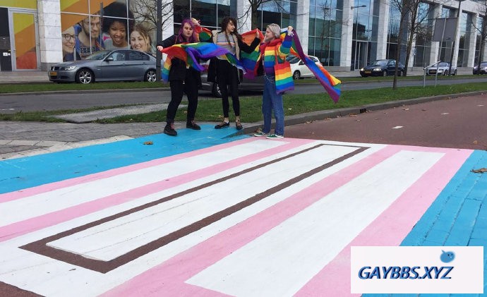 欧洲首个“跨性别斑马线”在荷兰亮相 跨性别