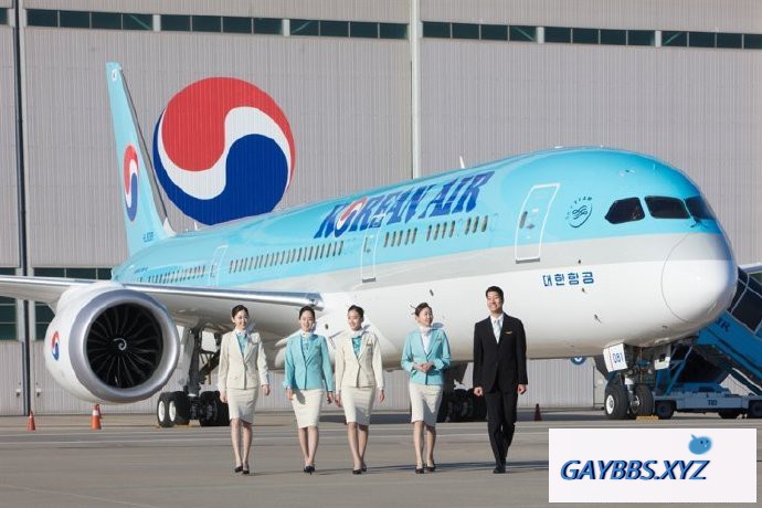 韩国：大韩航空承认顾客的同性配偶为家属 韩国,航空,同性配偶