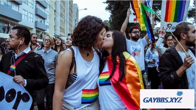 智利国会参议院通过初步的同性婚姻法案 智利,同性婚姻法案