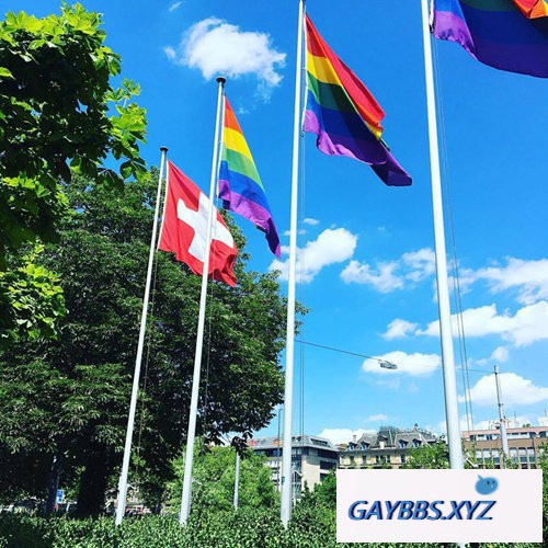 瑞士政府表态支持同性婚姻立法 瑞士,同性婚姻