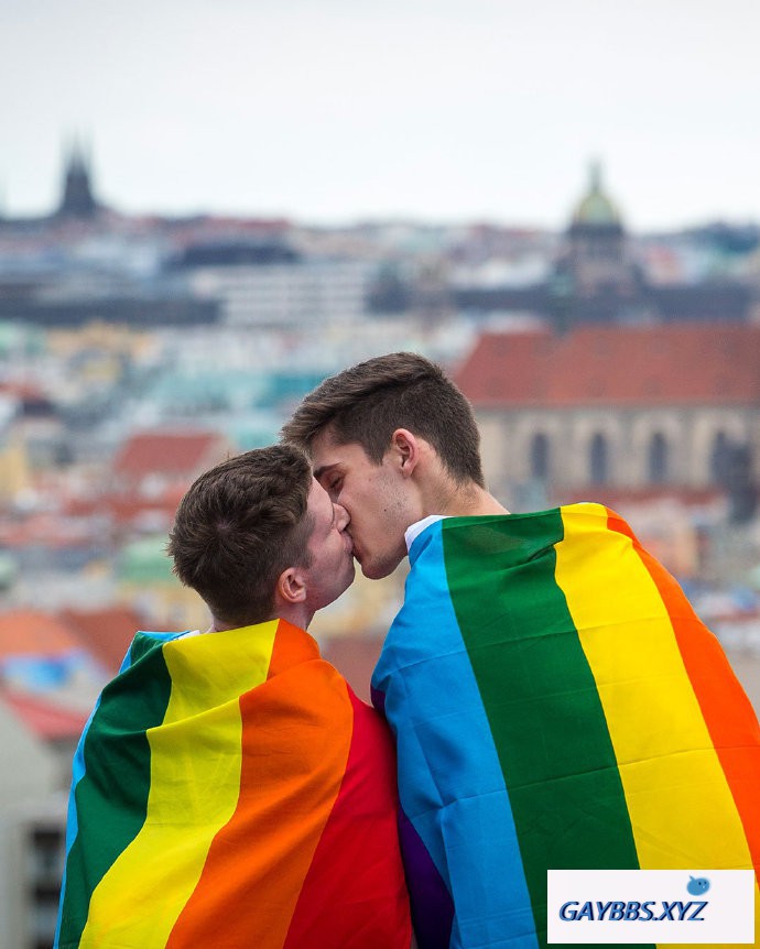 多数捷克人支持同性婚姻合法化 捷克,同性婚姻