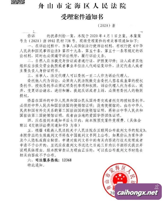 浙江定海法院受理同性伴侣子女抚养权案 抚养权,同性伴侣