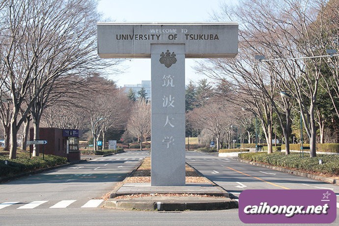 日本：筑波大学为教师提供同性伴侣福利 同性伴侣