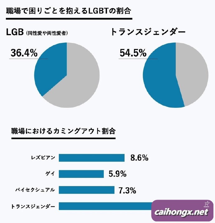 日本首次调查LGBT工作环境 LGBT