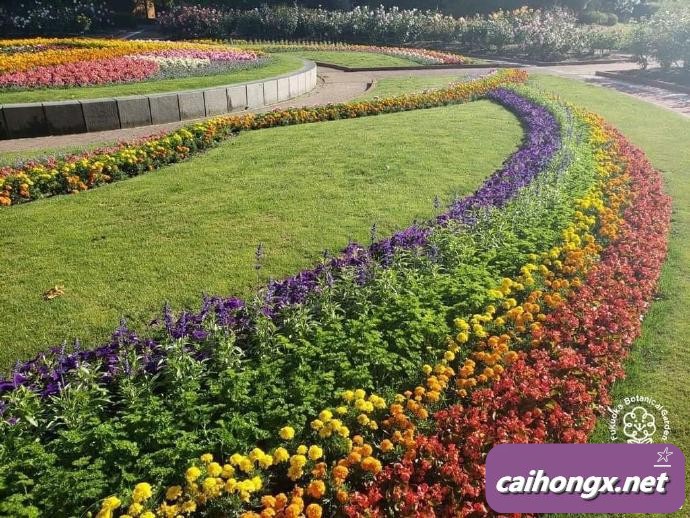 日本：福冈市植物园种花支持“国际不再恐同日” 