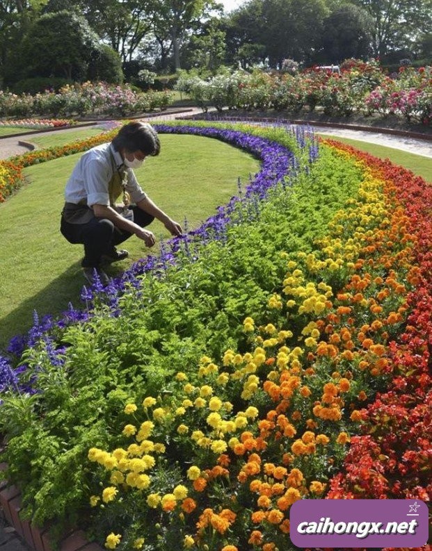 日本：福冈市植物园种花支持“国际不再恐同日” 