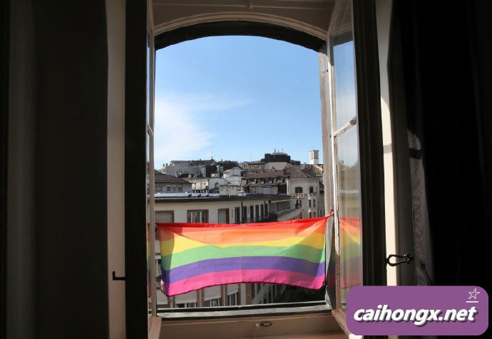 瑞士开始审议同性婚姻合法化法案 同性婚姻