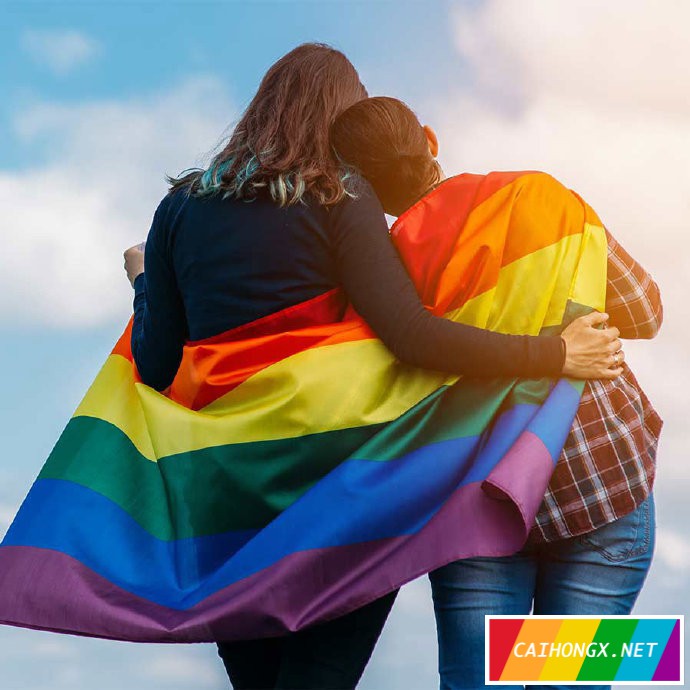 黑山同性伴侣关系合法化 同性伴侣