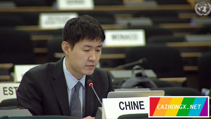 中国驻联合国代表团再次公开发表LGBT+社群友好声明 LGBT