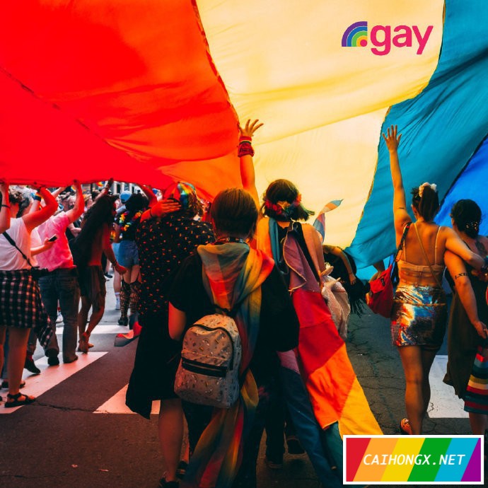 顶级域名“.gay”投入使用 