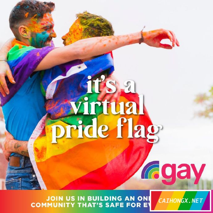 顶级域名“.gay”投入使用 