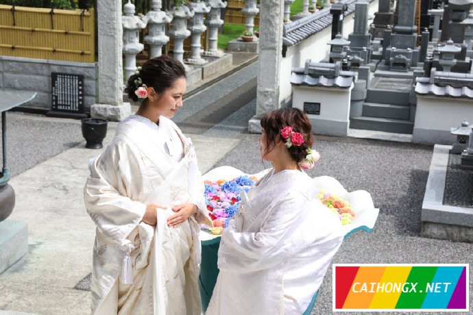 日本：同性伴侣证书制度的实施地区今年至少将达到69个 同性伴侣