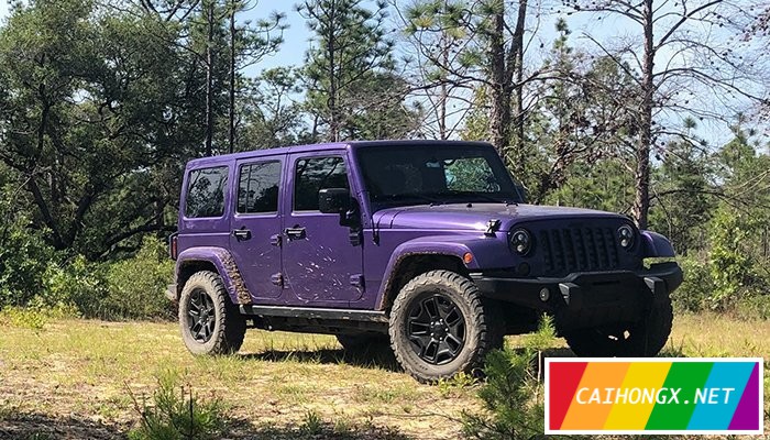 支持LGBT青少年反欺凌，Jeep汽车披紫色 LGBT