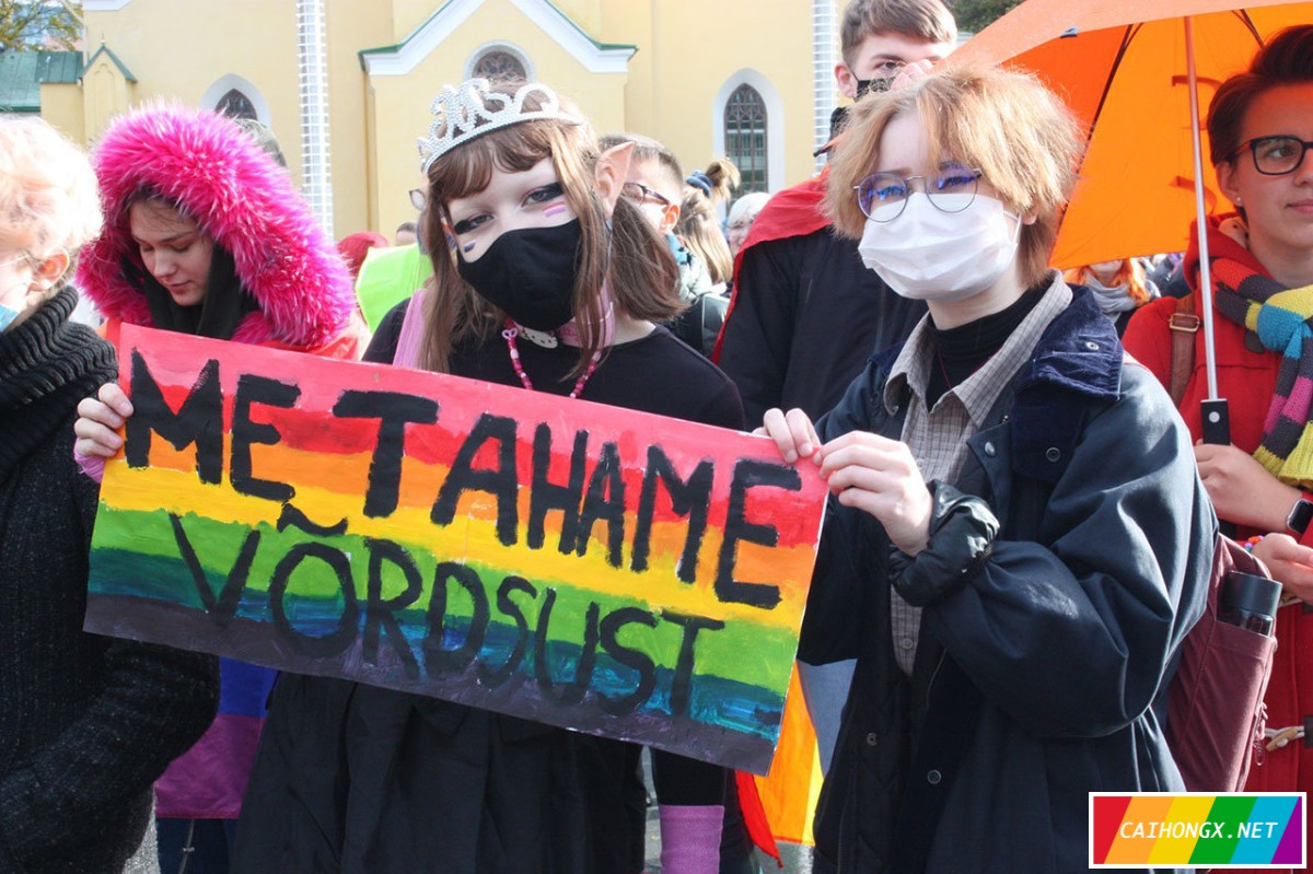 爱沙尼亚年轻人呼吁承认同性婚姻 同性婚姻