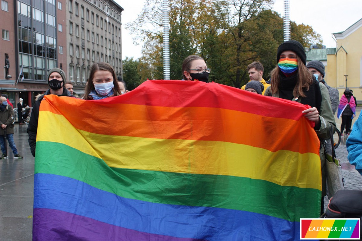 爱沙尼亚年轻人呼吁承认同性婚姻 同性婚姻