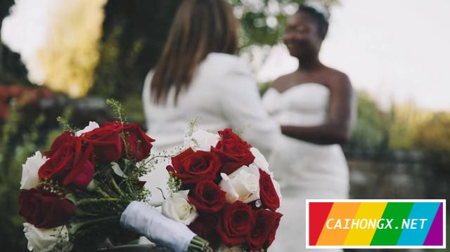南非修正立法确保同性婚姻能够登记注册 同性婚姻