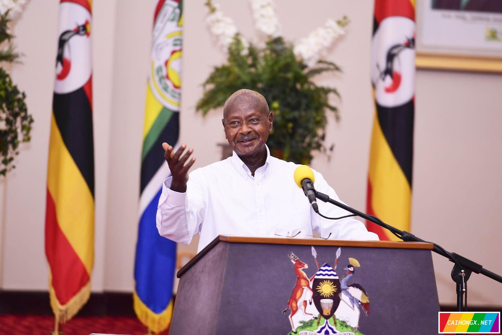 乌干达总统表示同性恋都是叛国者 反同