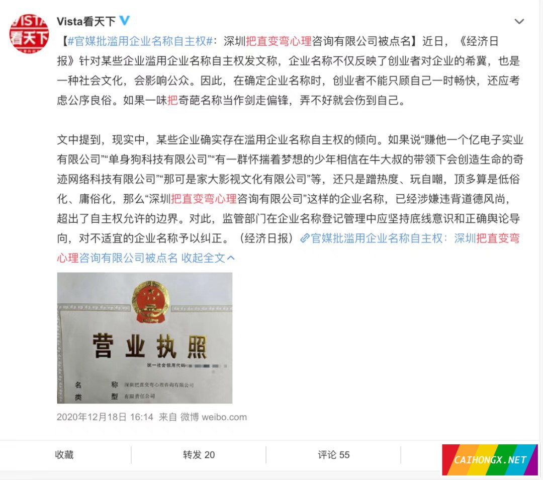 “掰弯异性恋”的公司被责令改名 