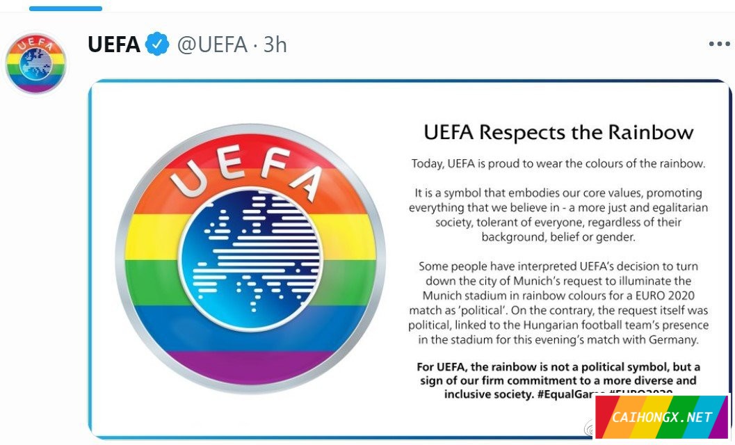欧洲杯足球赛，彩虹旗突然出现在匈牙利队面前 