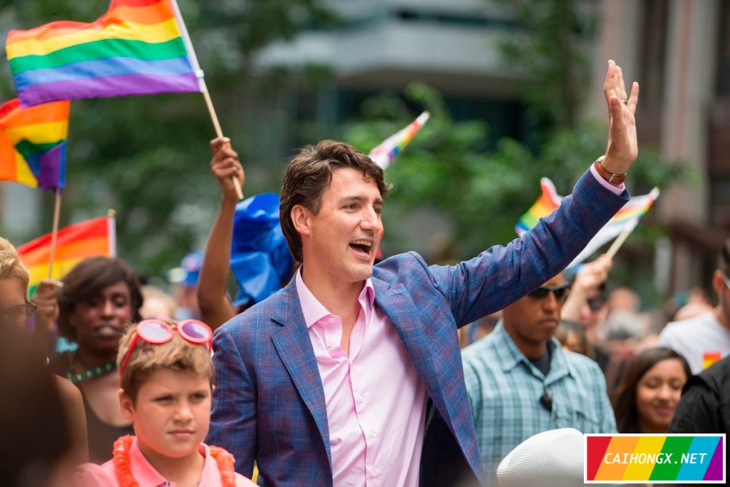 加拿大或将全面严禁对同性恋进行转化疗法 