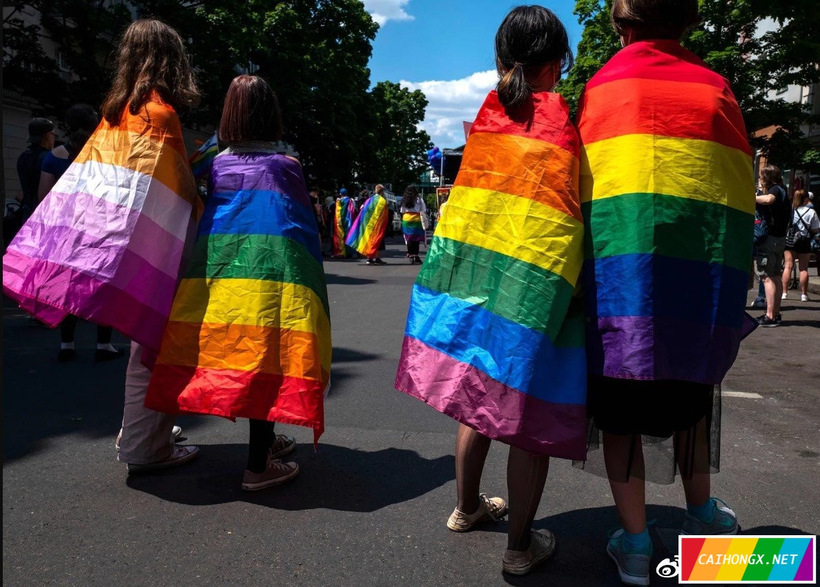 世界各地一些城市庆祝骄傲月举行LGBT行进活动 LGBT,骄傲月