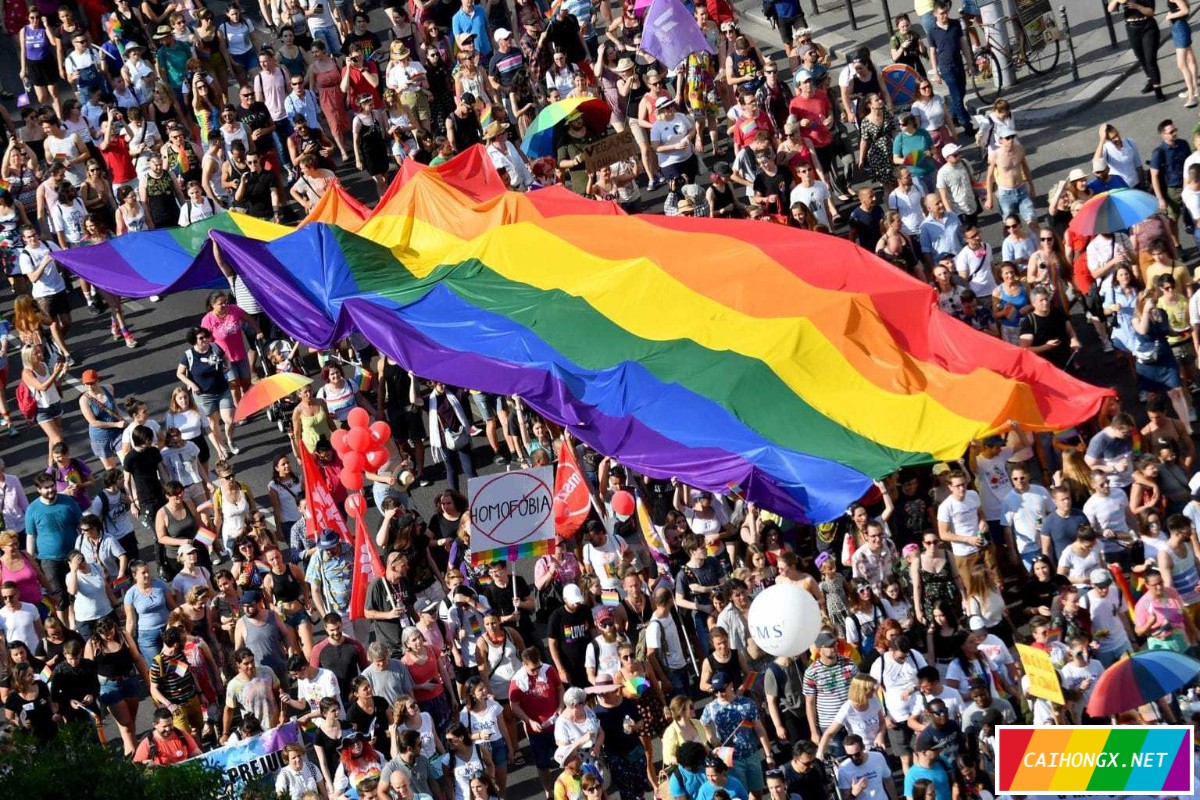 30个国家的大使馆公开要求匈牙利保护LGBT LGBT,匈牙利