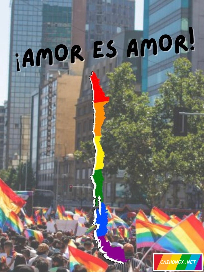 智利众议院通过同性婚姻法案或将合法化 同性婚姻,智利
