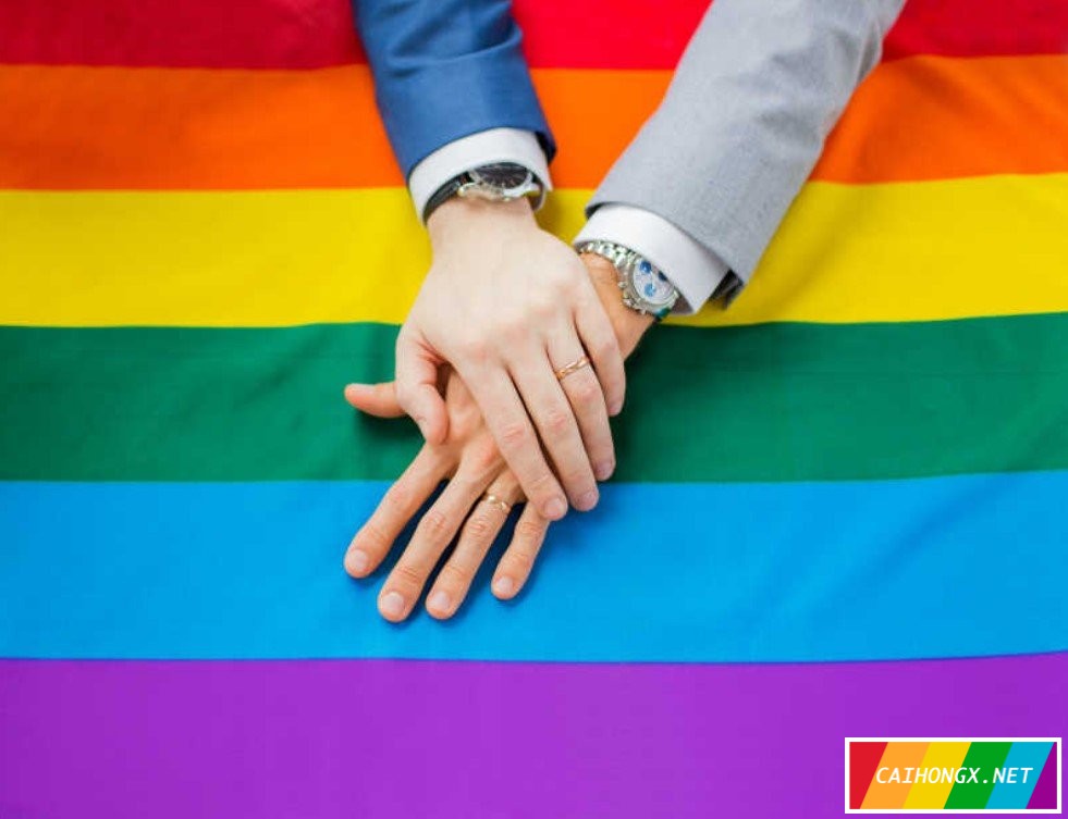 韩国法院否定同性夫妇医保抚养关系 同性婚姻
