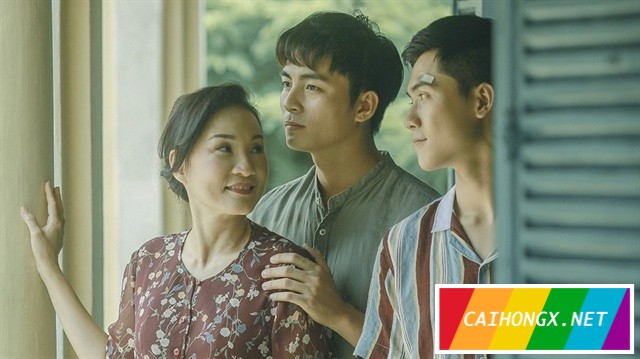 越南电影《再见妈妈》获得好评 
