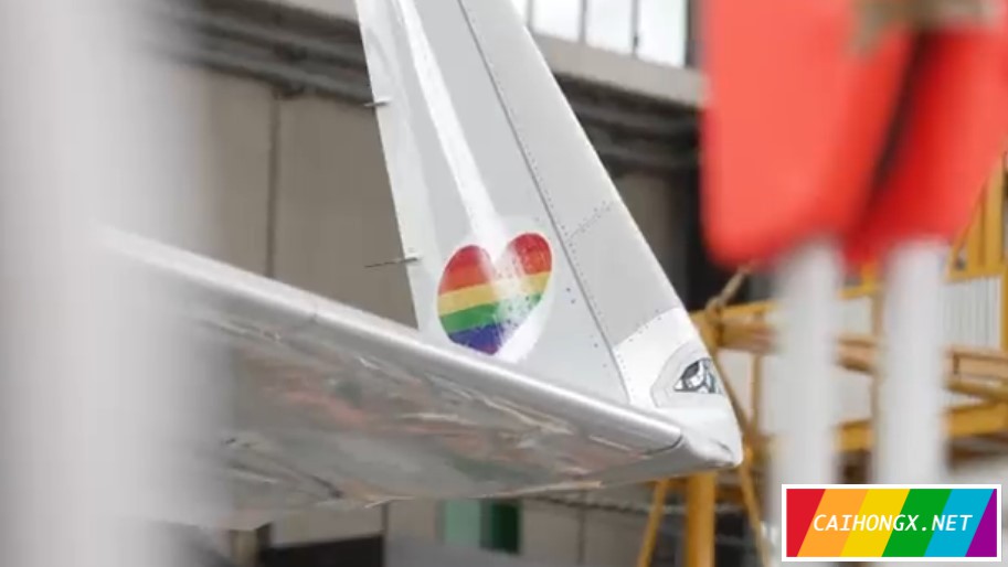 德国汉莎航空公司的骄傲月飞机 骄傲月