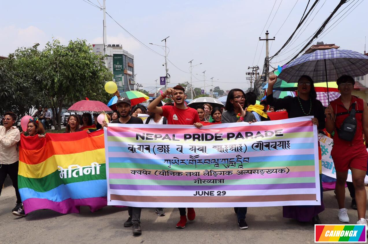 尼泊尔最高法院：允许同性伴侣登记结婚 同性婚姻,同性伴侣