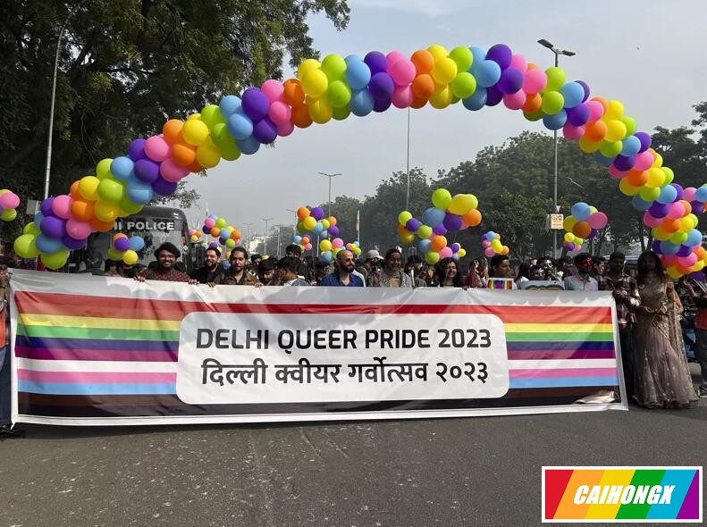 印度数以千计同志上街 参加德里同志大游行 同志游行