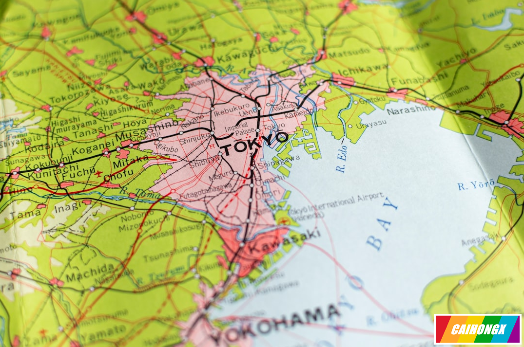 日本连续第四年梅毒病例超过13000例 日本,梅毒