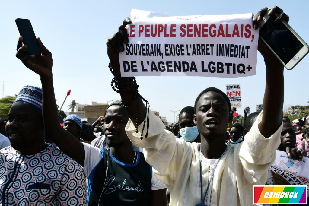 塞内加尔反同行动中12人被捕，其中包括2位名人 塞内加尔,反同