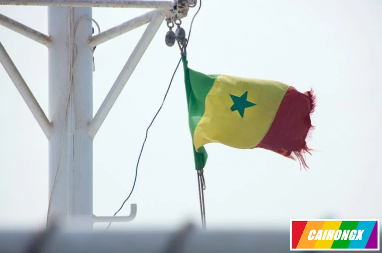 塞内加尔通过争议法案 同性性行为刑期升至10年 恐同,塞内加尔